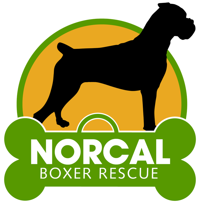 Home | NorCal Boxer Rescue