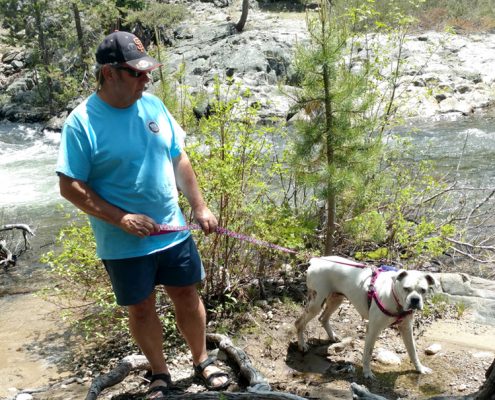 Riley - May, 2017 | NorCal Boxer Rescue