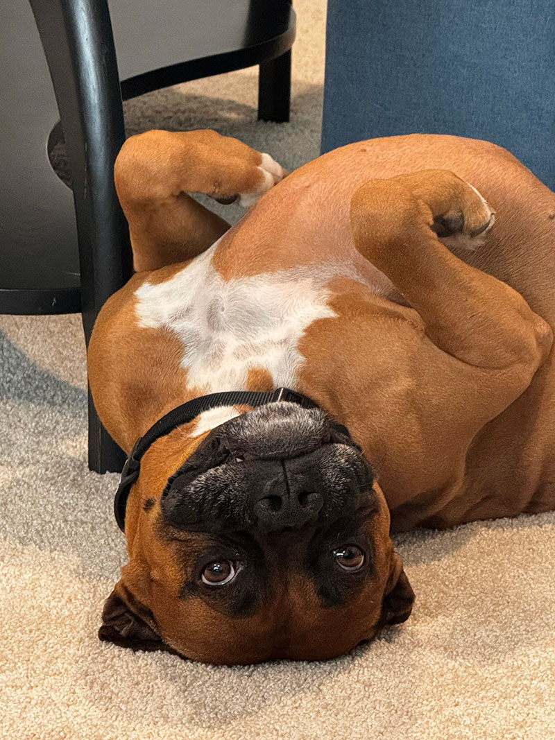 Baxter