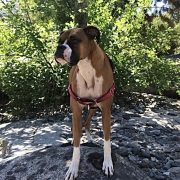 Hugs from Jackie, Ramey, and Bradley