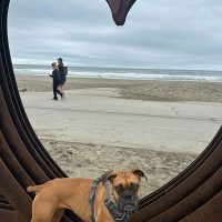 bella3_rt8439_102625 BellaSue