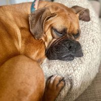 bella4_rt8439_102625 BellaSue