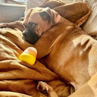 bella5_rt8439_102625 BellaSue