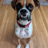 derby1_rt8418_102525 Derby