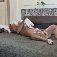 derby3_rt8418_102525 Derby