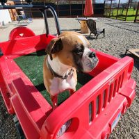 ali1_rt8416_012625 Ali