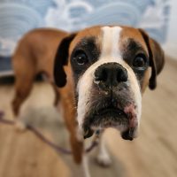 ali2_rt8416_012625 Ali