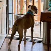 ali3_rt8416_012625 Ali