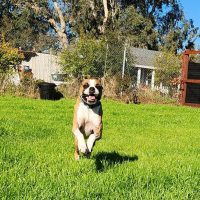 ali5_rt8416_012625 Ali