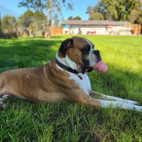 ali6_rt8416_012625 Ali