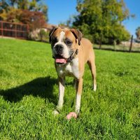 ali7_rt8416_012625 Ali