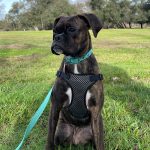 Freya fka Runty - January