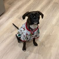 twixie2_rt8436_010226 Twixie