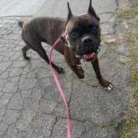 dave1_rt8159_021026 Dave