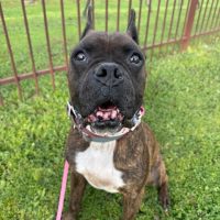 dave2_rt8159_021026 Dave