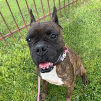 dave3_rt8159_021026 Dave