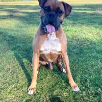 franklin1_rt8432_021026 Franklin