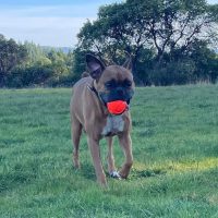 franklin2_rt8432_021026 Franklin