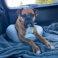 franklin3_rt8432_021026 Franklin