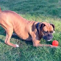 franklin4_rt8432_021026 Franklin