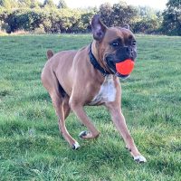 franklin6_rt8432_021026 Franklin