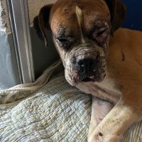 sebastian1_rt8458_022126 Sebastian