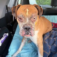 sebastian2_rt8458_022126 Sebastian