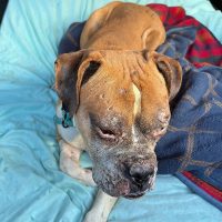 sebastian3_rt8458_022126 Sebastian