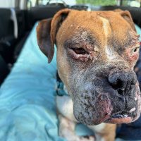 sebastian4_rt8458_022126 Sebastian