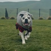 Spartacus
