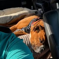 paddy3_rt8455_041326 Paddy