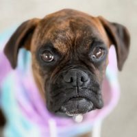 sage2_rt8467_051226 Sage