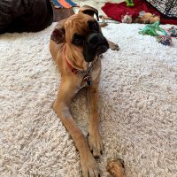 emmett1_rt8468_082526 Emmett