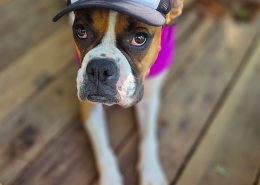 Lucy