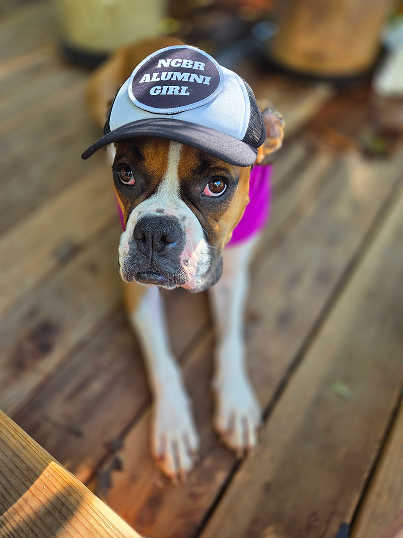 Lucy