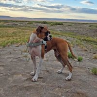 lucy3_hhaugust26 Lucy