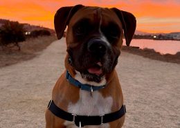 Rosco